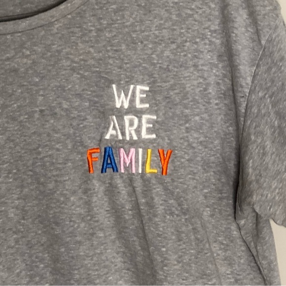 Gray WE ARE FAMILY Rainbow Tee Shirt - Picture 3 of 4